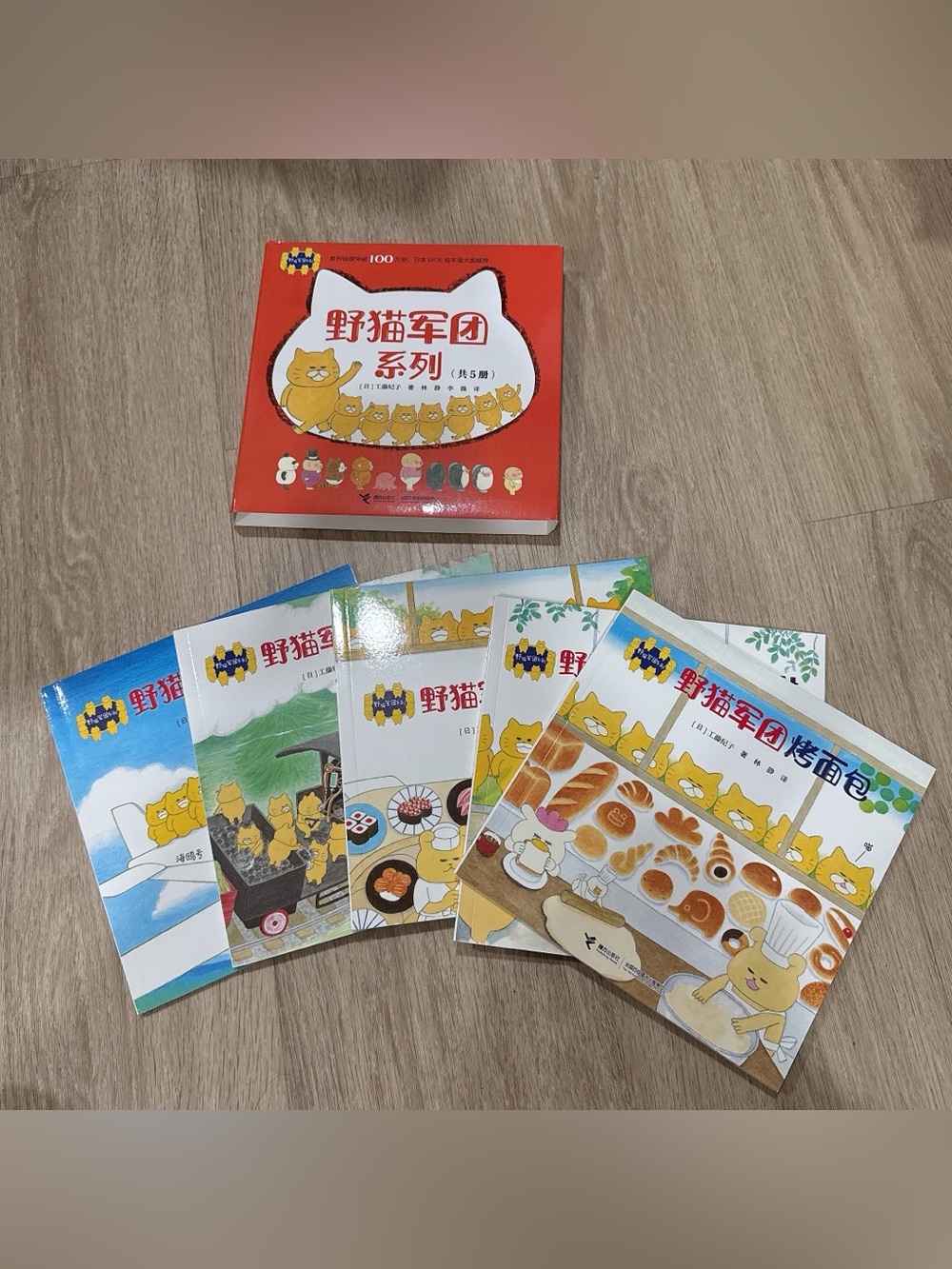 Chinese kid toddler books lot 中文書